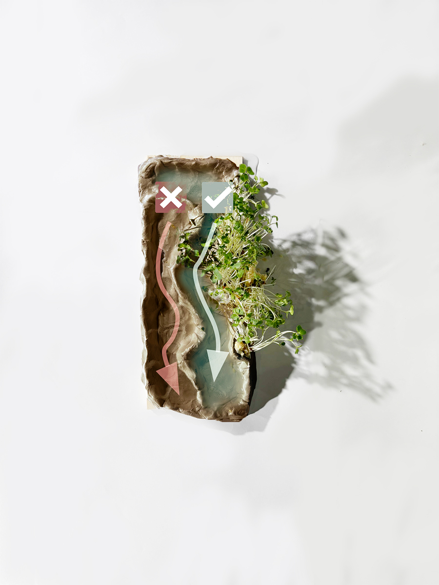 Concept model showing two channels, one that is dry and lifeless, another with flowing water and plants growing.
