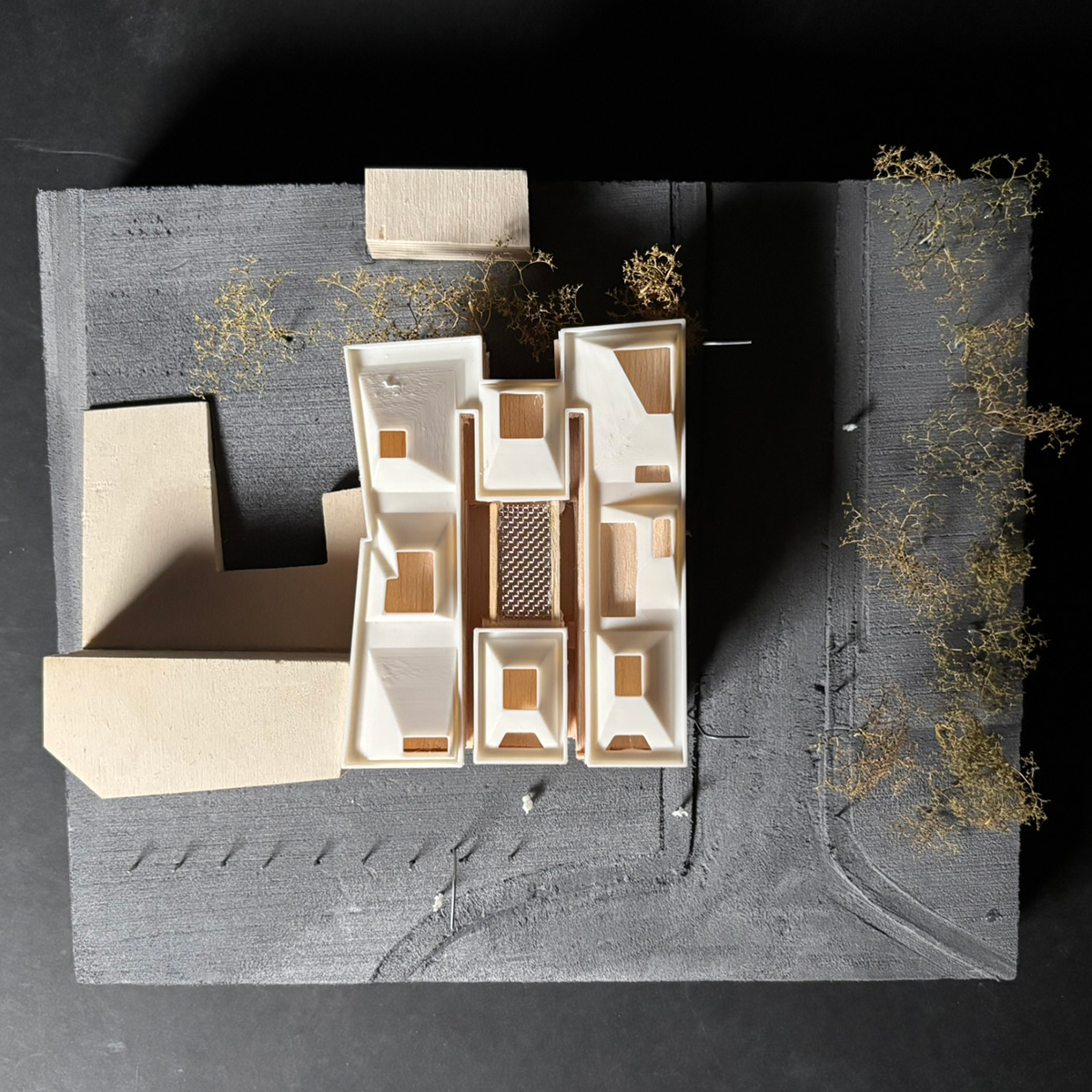Top view of the physical model.