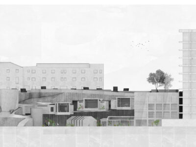 Image for Lara Backeberg